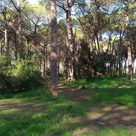 Attico Maris 104 A Due Passi Dalla Free Wi Fi Alguer