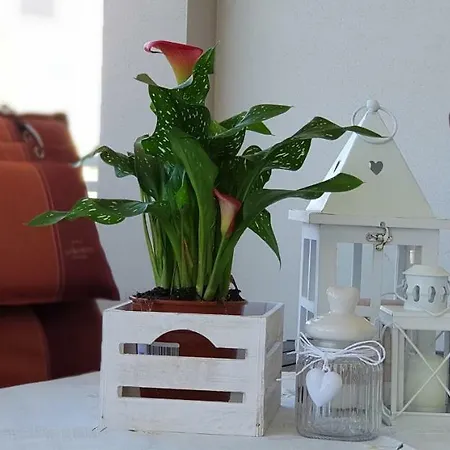 Сasa de vacaciones Attico Maris 104 A Due Passi Dalla Free Wi Fi